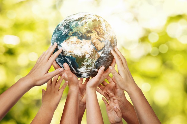 Combatting Environmental Issues as an Organisation