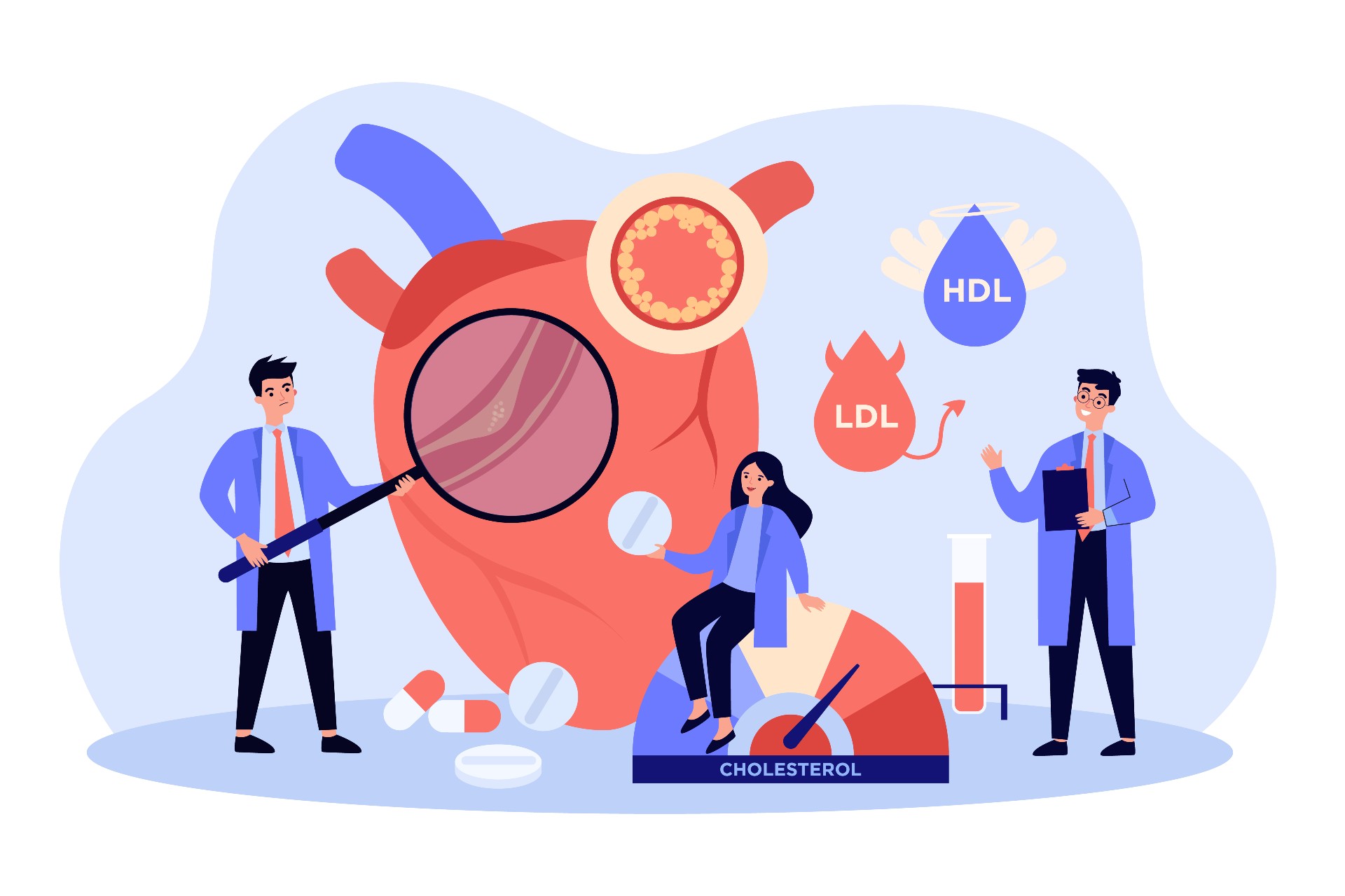 The role of cholesterol