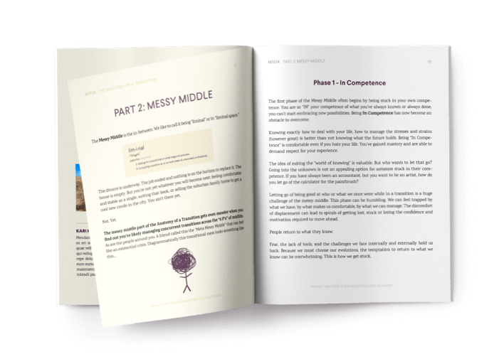 Anatomy of a Transition Ebook