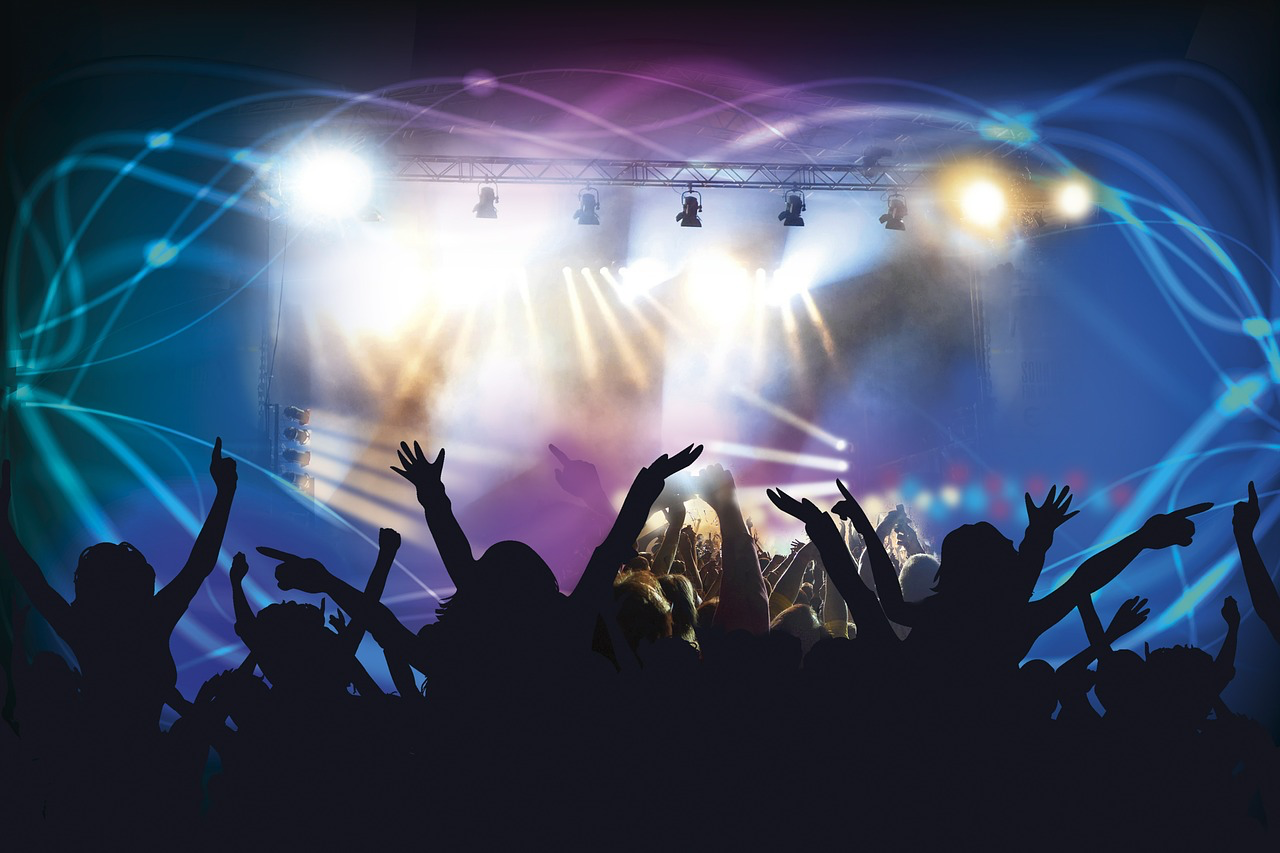 Concert audience