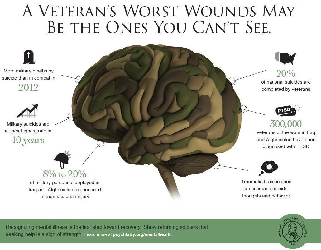 A diagram showing the statistics of veterans who struggle with their mental health.