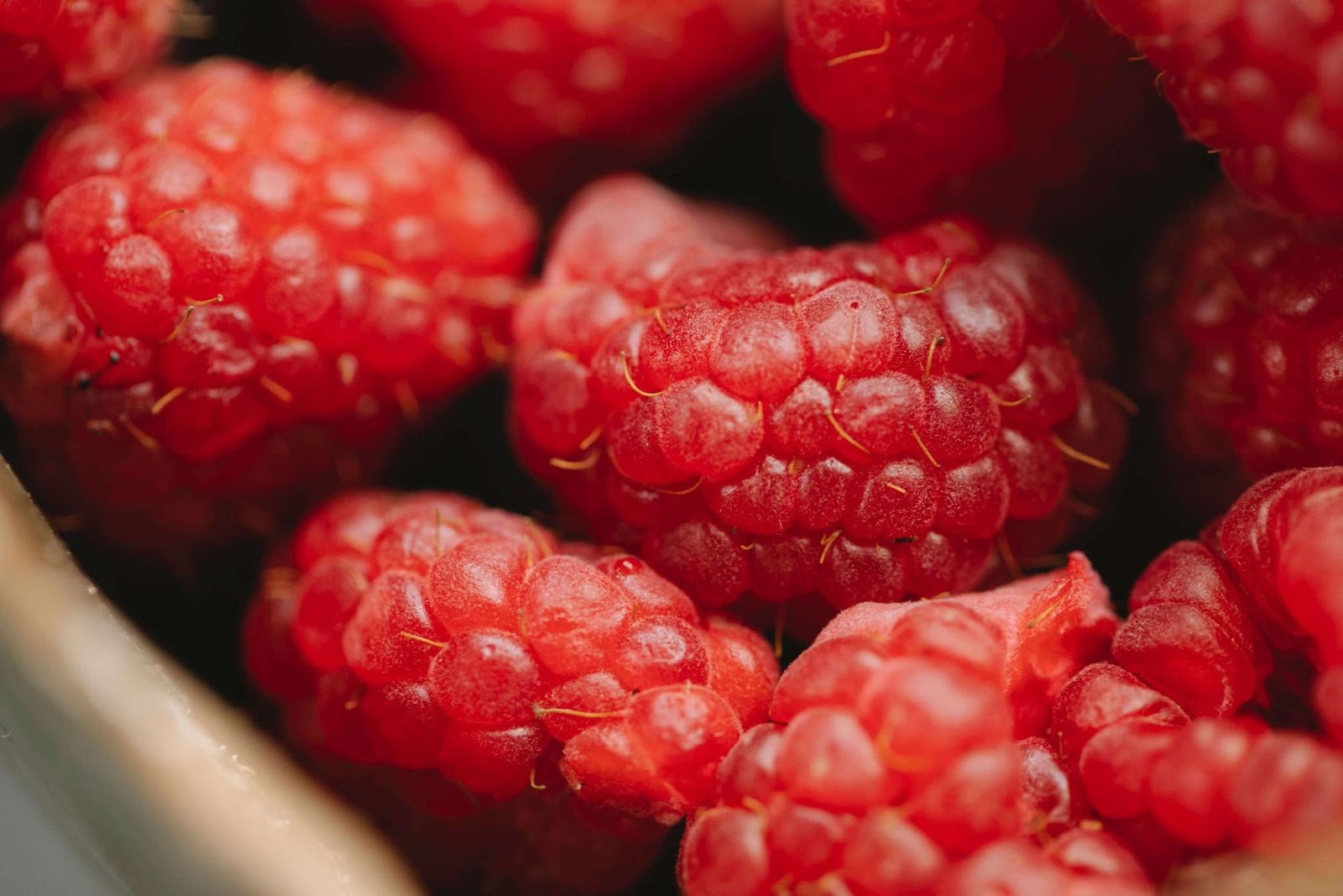 Red, juicy raspberries in a bowl.