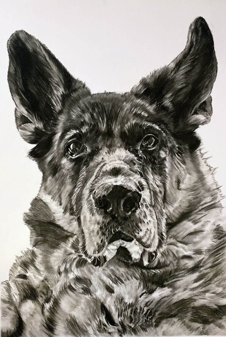 Schleich 16831 German Shepherd