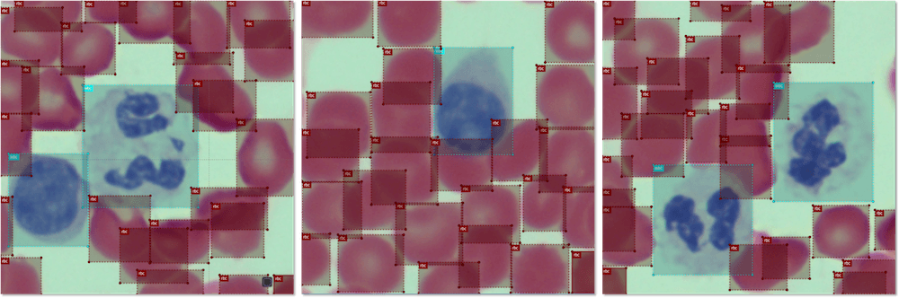 image object detection