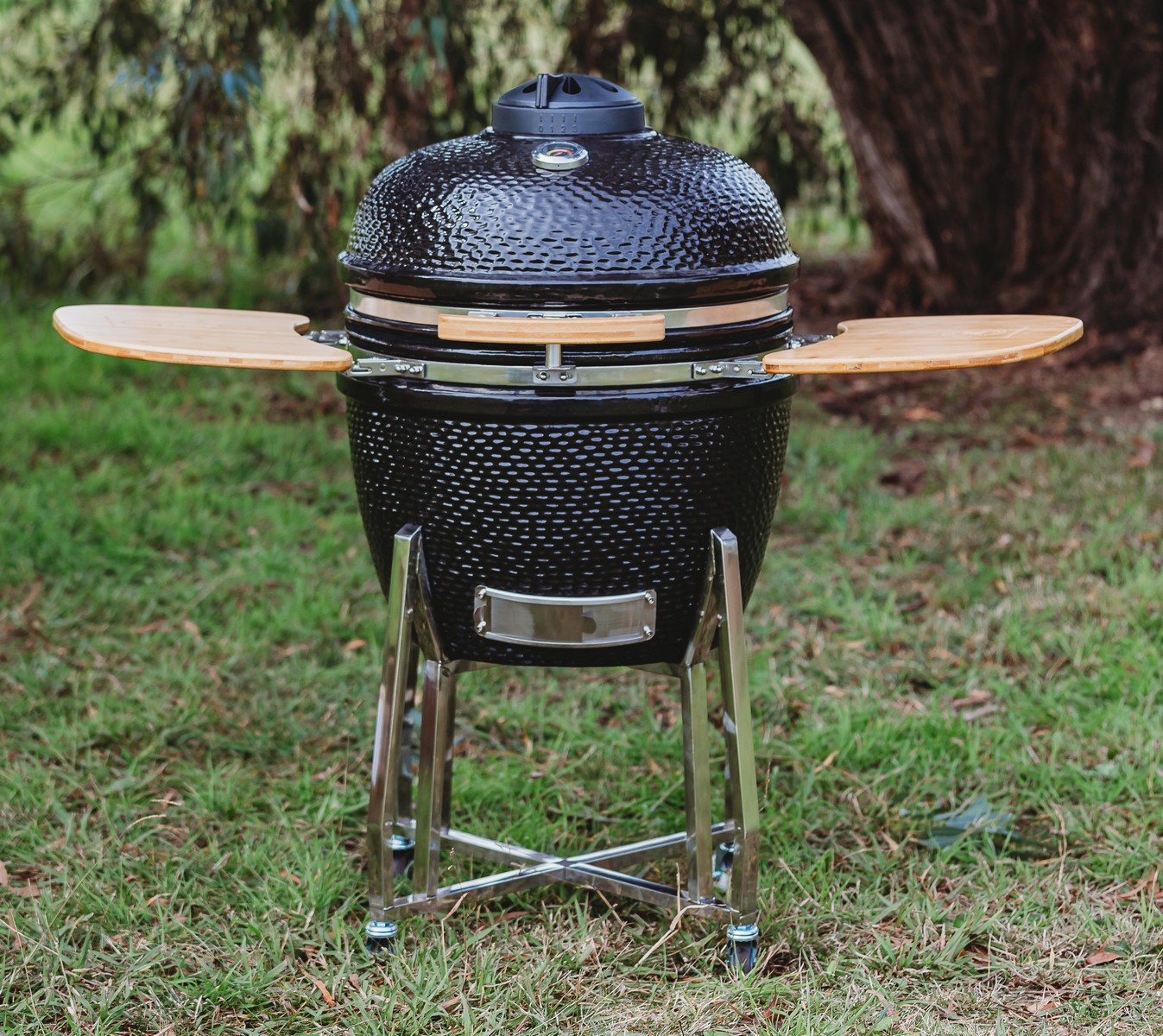 Sam's Club Kamado Grill