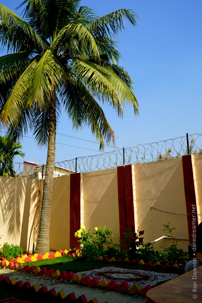 Garden in front of barbed wire wall.
