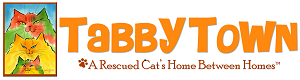 Tabby Town