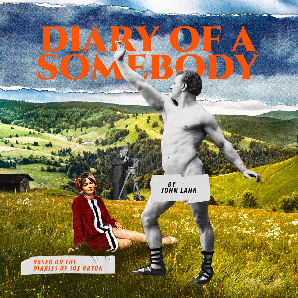 Diary of a Somebody
