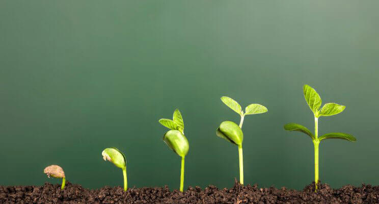 The Making of Zenoti, A Successful, Vertical SaaS Solution