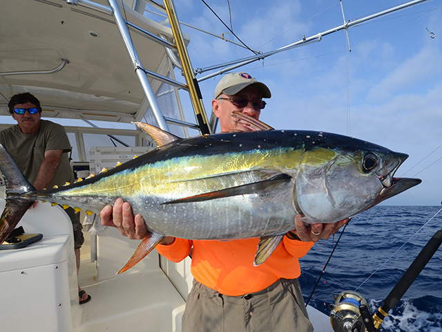 Yellowfin Tuna Tactics