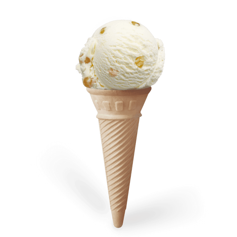 Tip Top Hokey Pokey Ice Cream Scoops Tip Top