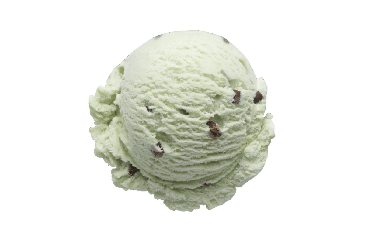 Mint Choc Chip