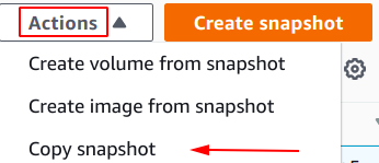 选择您新创建的EBS快照。单击操作下拉按钮，然后选择复制快照‍