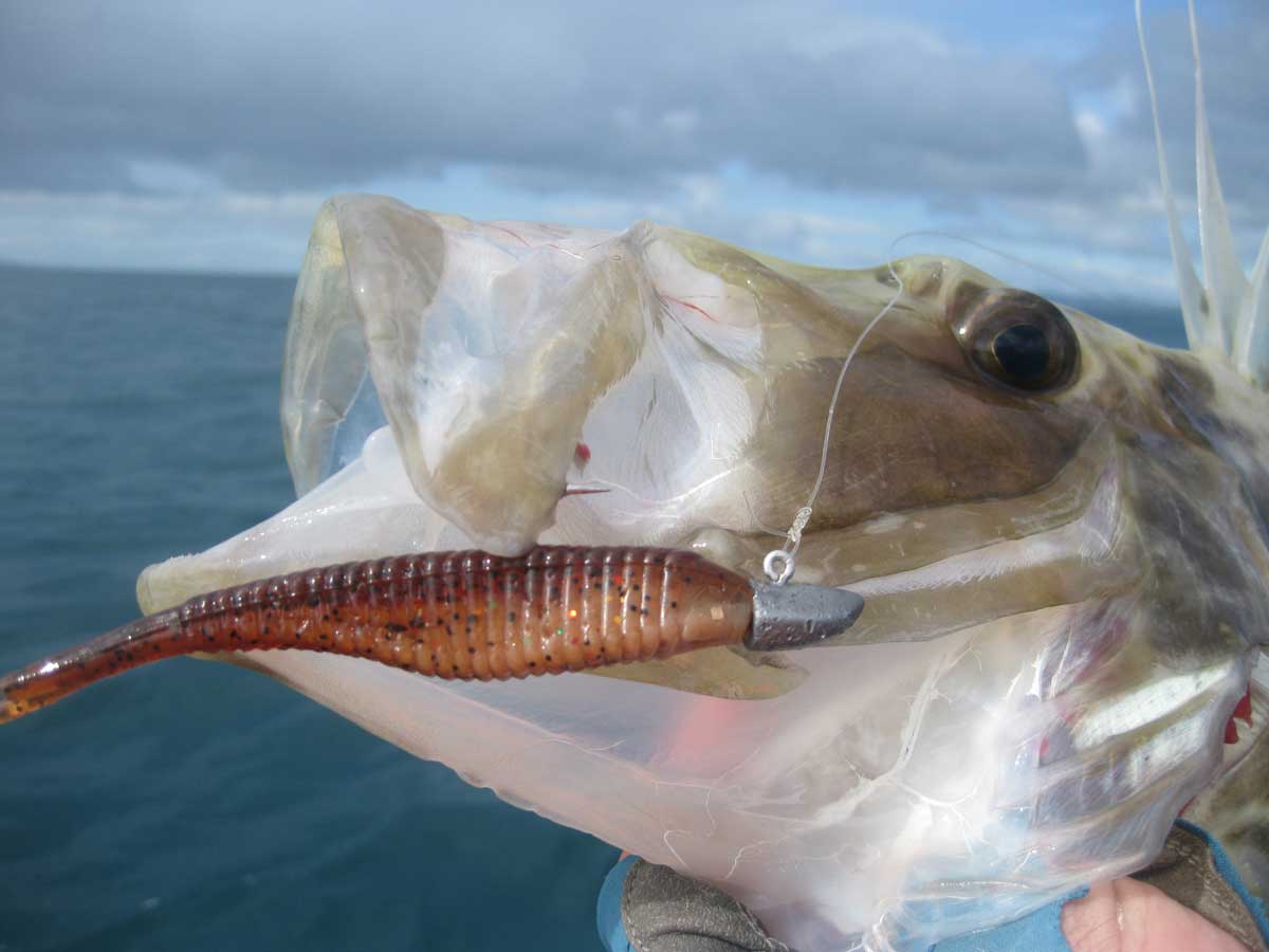 Softbait fishing from Kayaks The Adventurer Magazine