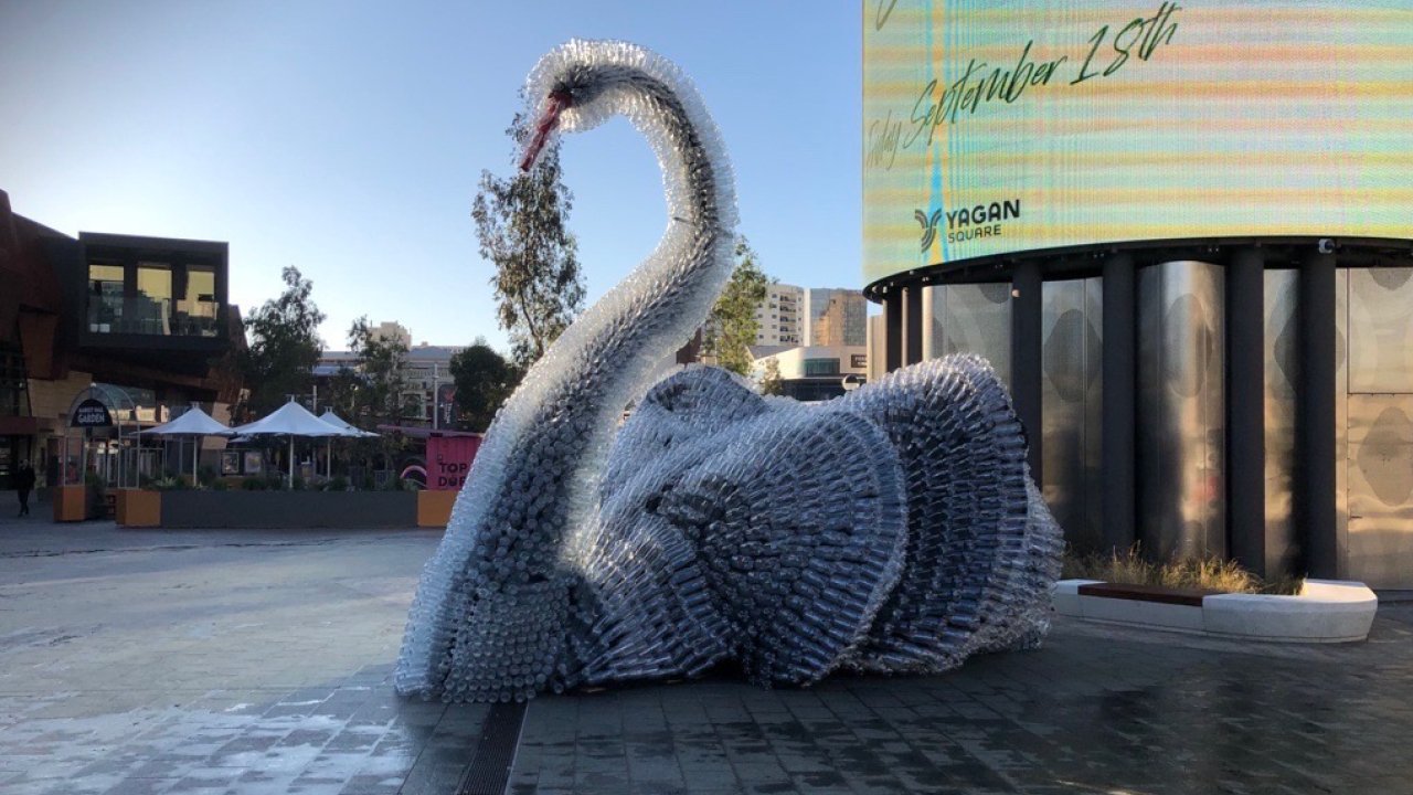Containers for Change Hero Image of Swan made from recycled bottles