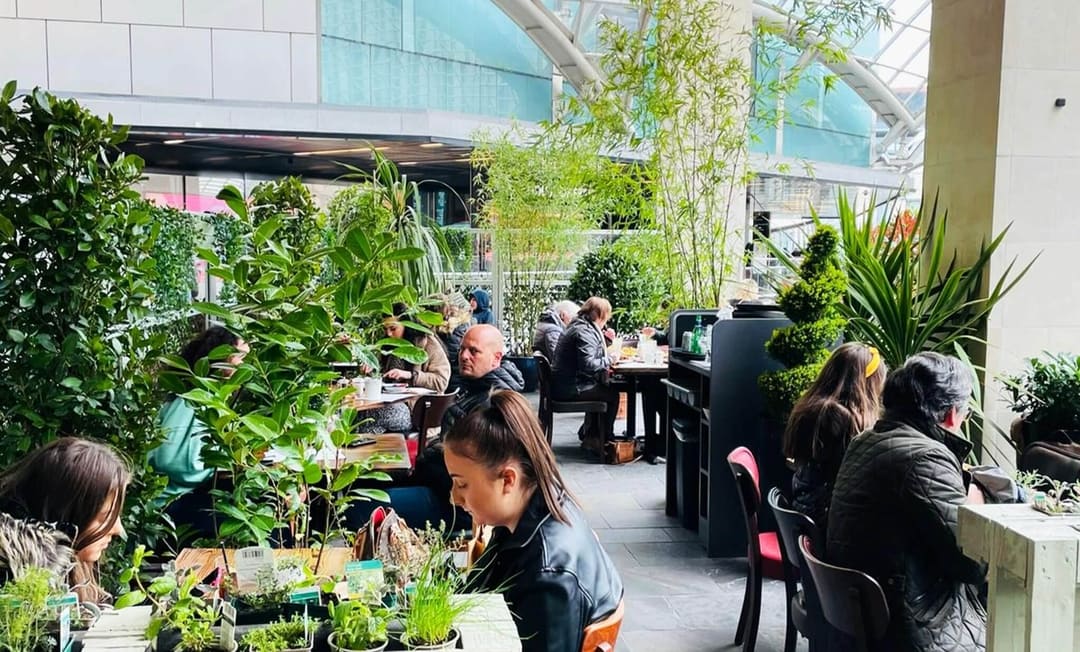 Coal Kitchen Restaurant Cabot Circus Cocktail Bar Bristol