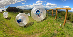 Zorbing in Rotorua