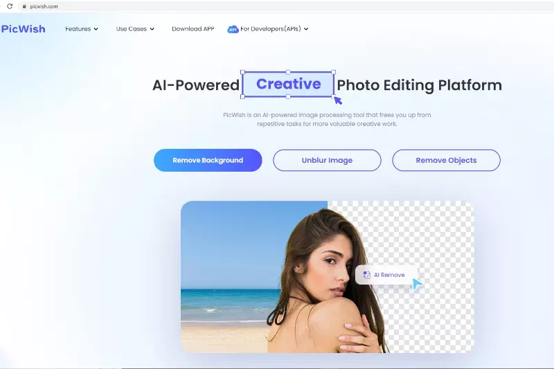 Home Page of PicWash