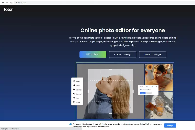Home Page of Fotor