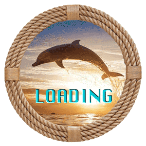 Loader image: Dolphin in circle.
