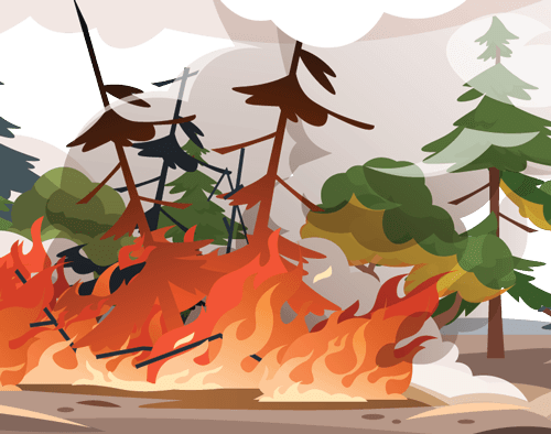 A wildfire consuming trees