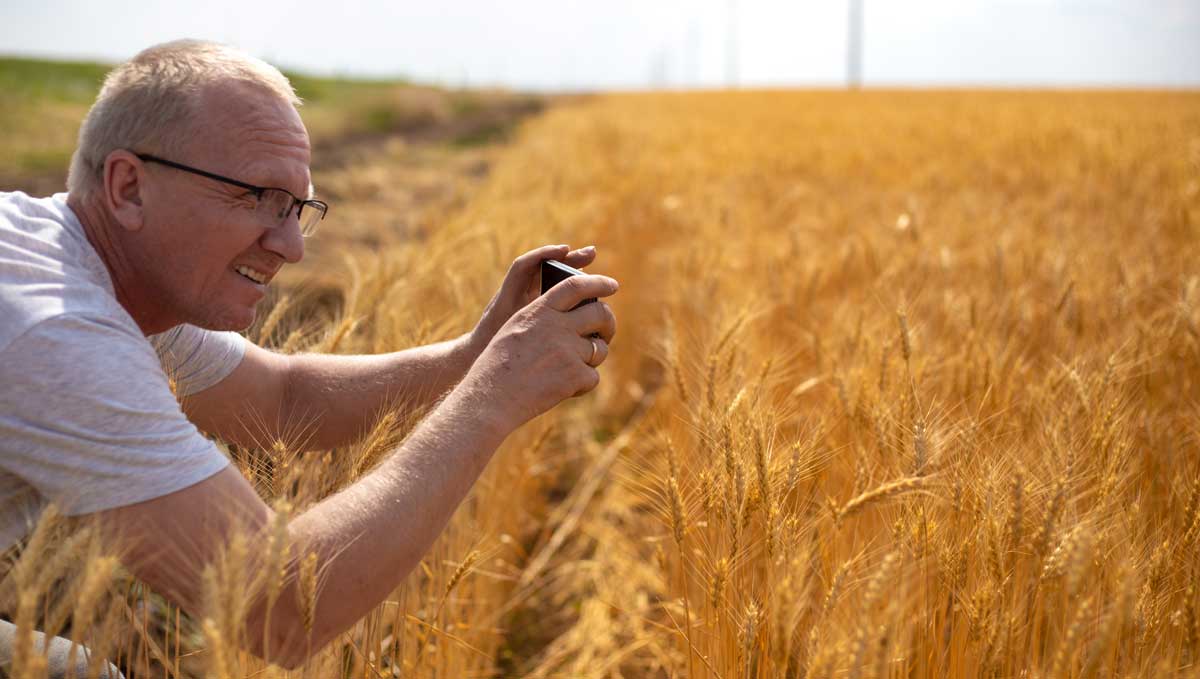 a field engineer capturing GIS data on a mobile phone