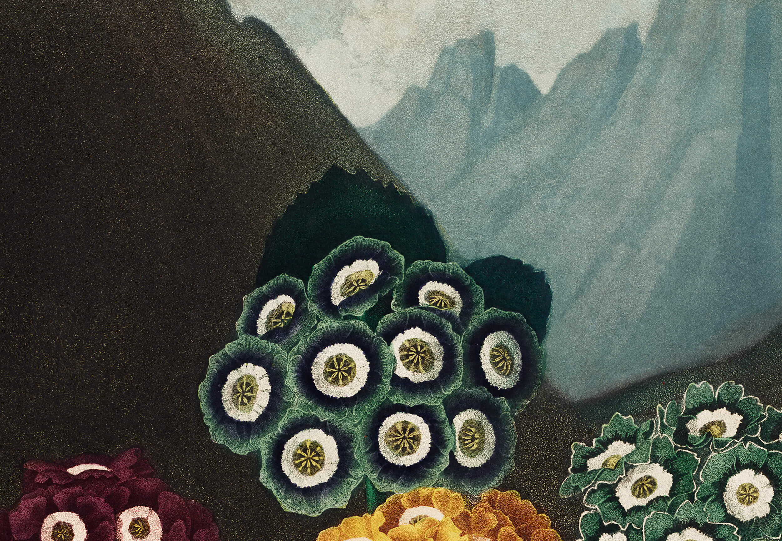 Blacksmith Lake Mulwala Photo Gallery