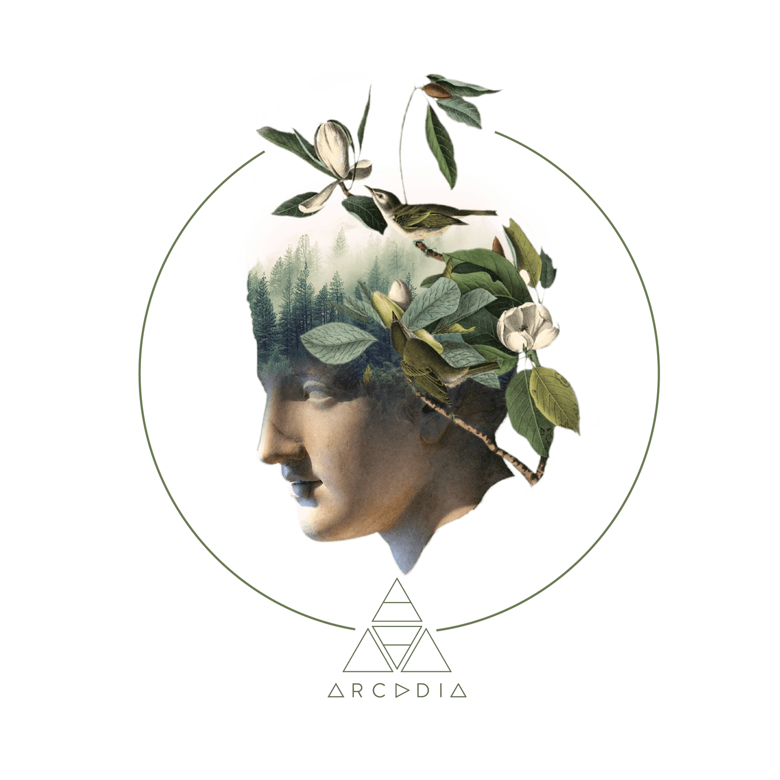 ARCADIA EARTH
