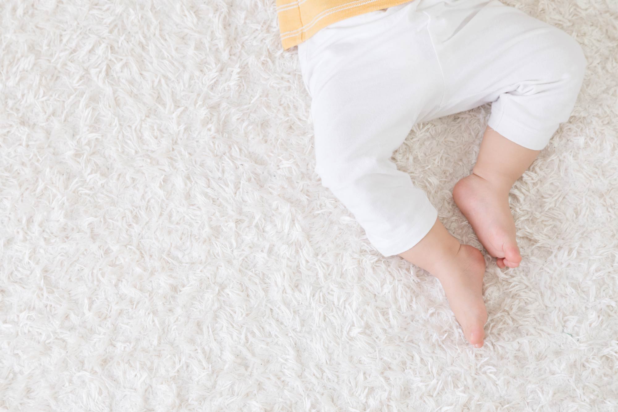 Professional Carpet & Tile Cleaning in Green Bay, WI Pure Clean