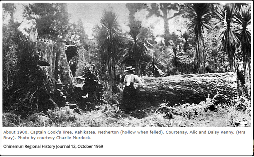 Cook Landmarks at 'The Thames' (New Zealand), November 1769