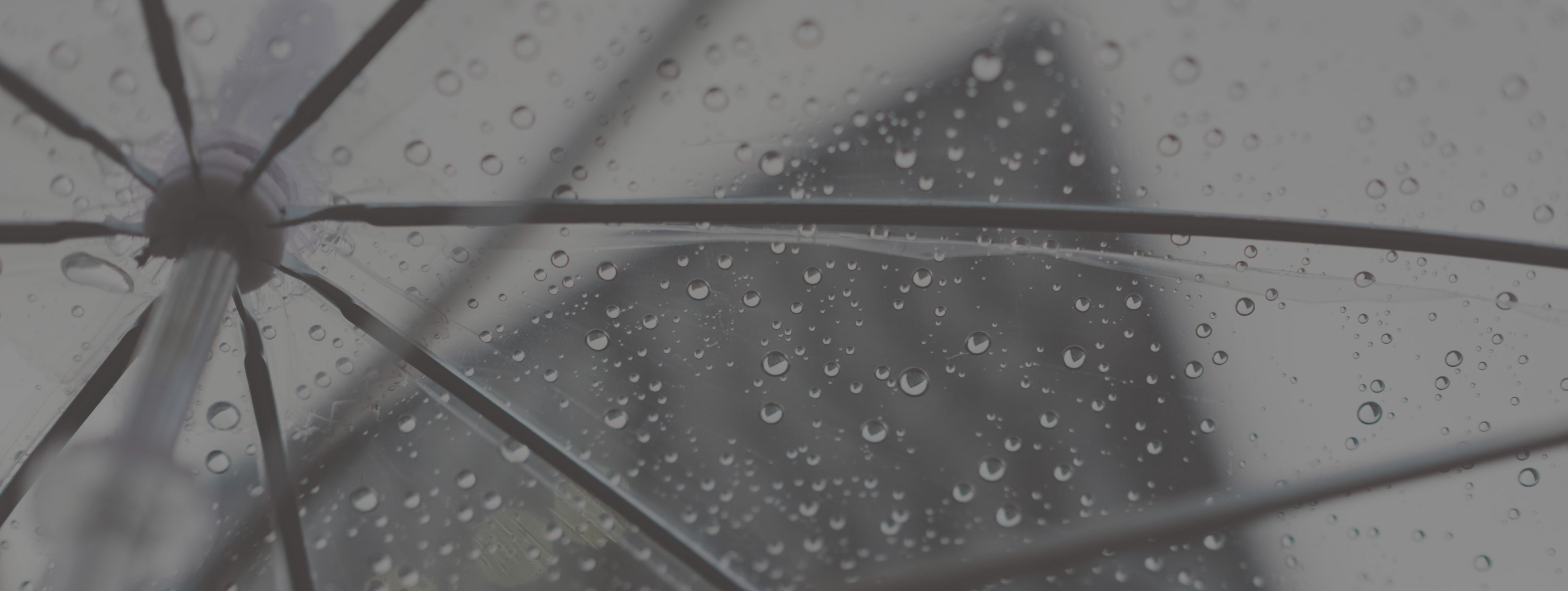 Personal Umbrella