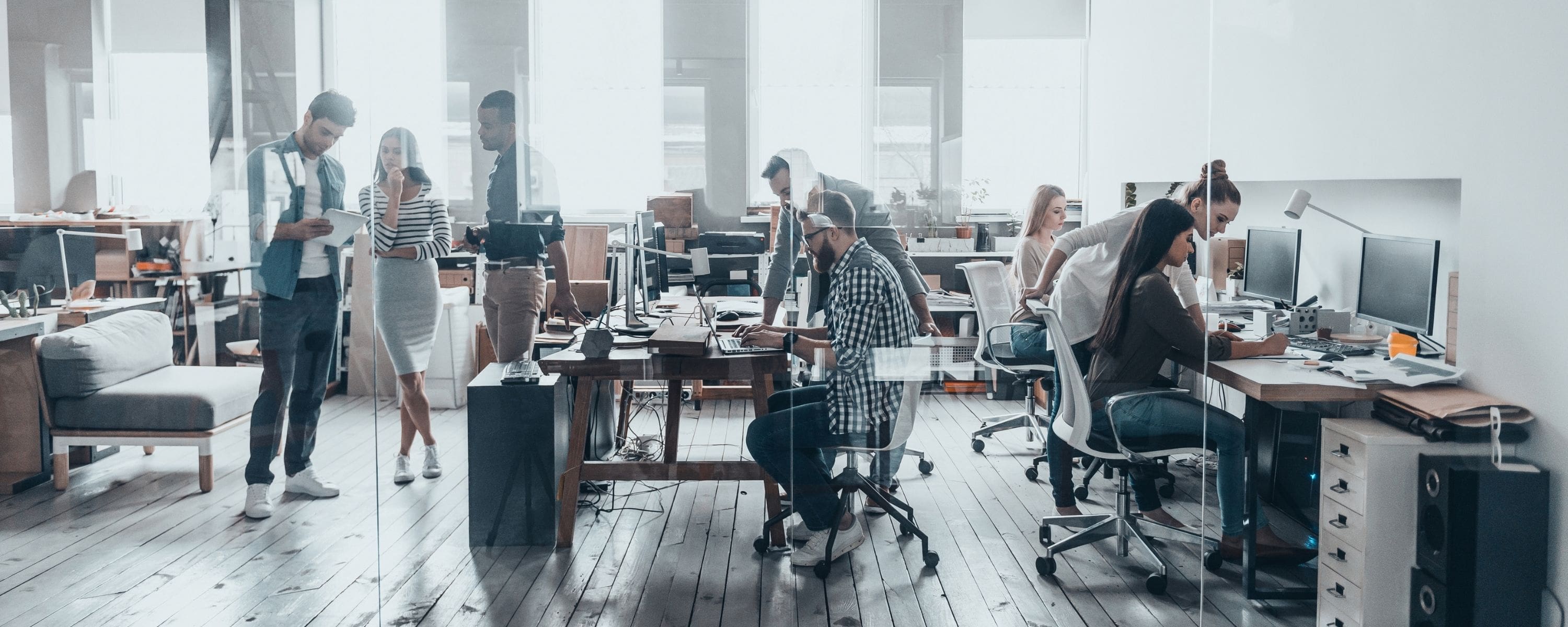 Growth Stage Business Insurance