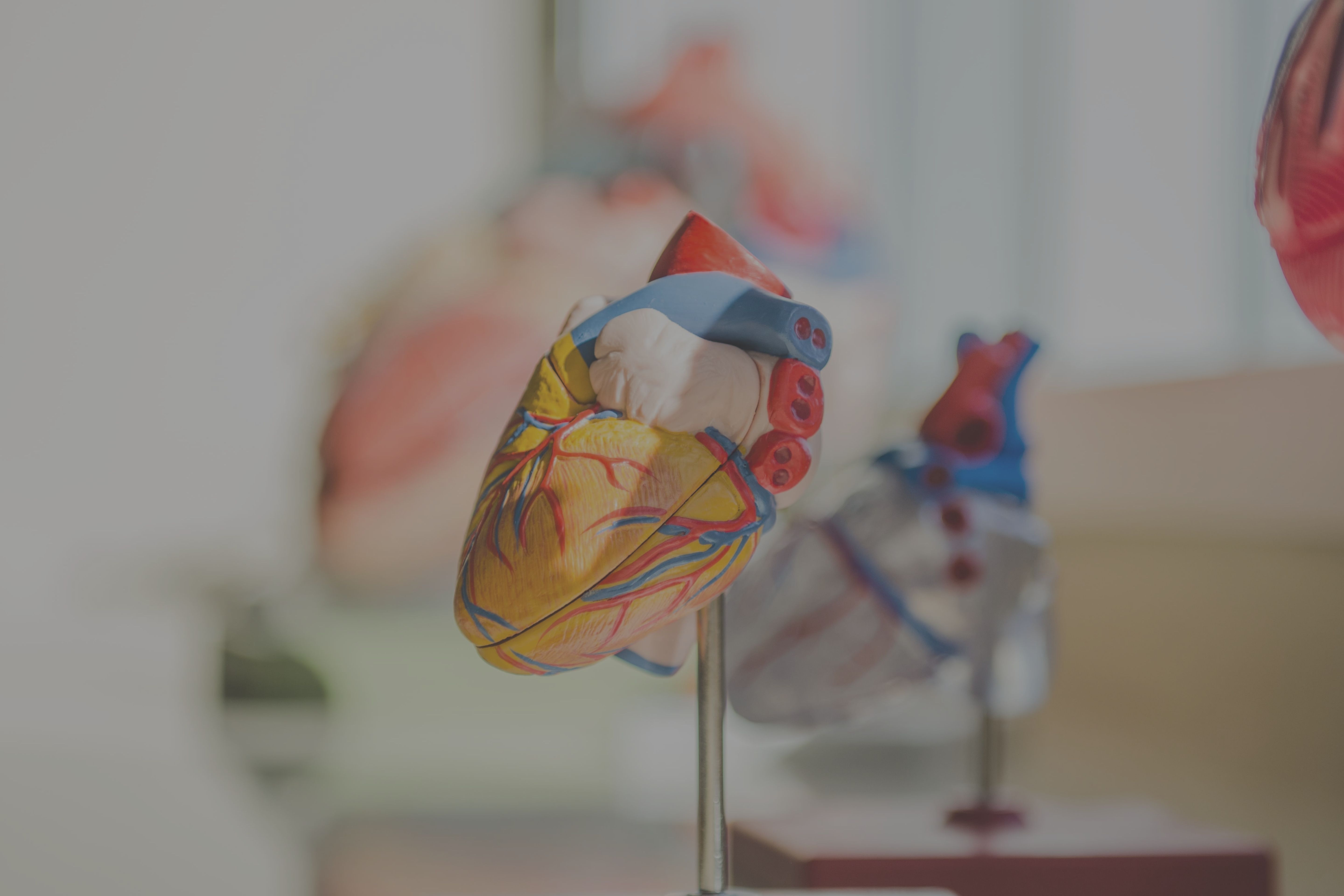 Health wellness life sciences health tech insurance