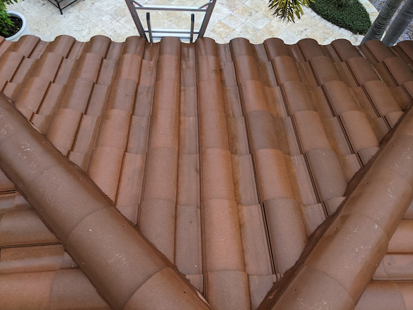 Roof Cleaning