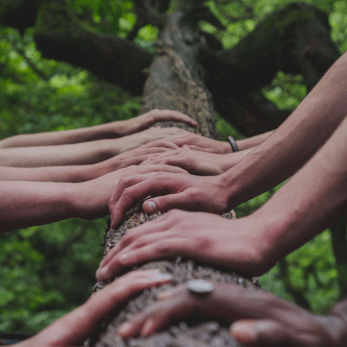 People resting their hands on a log