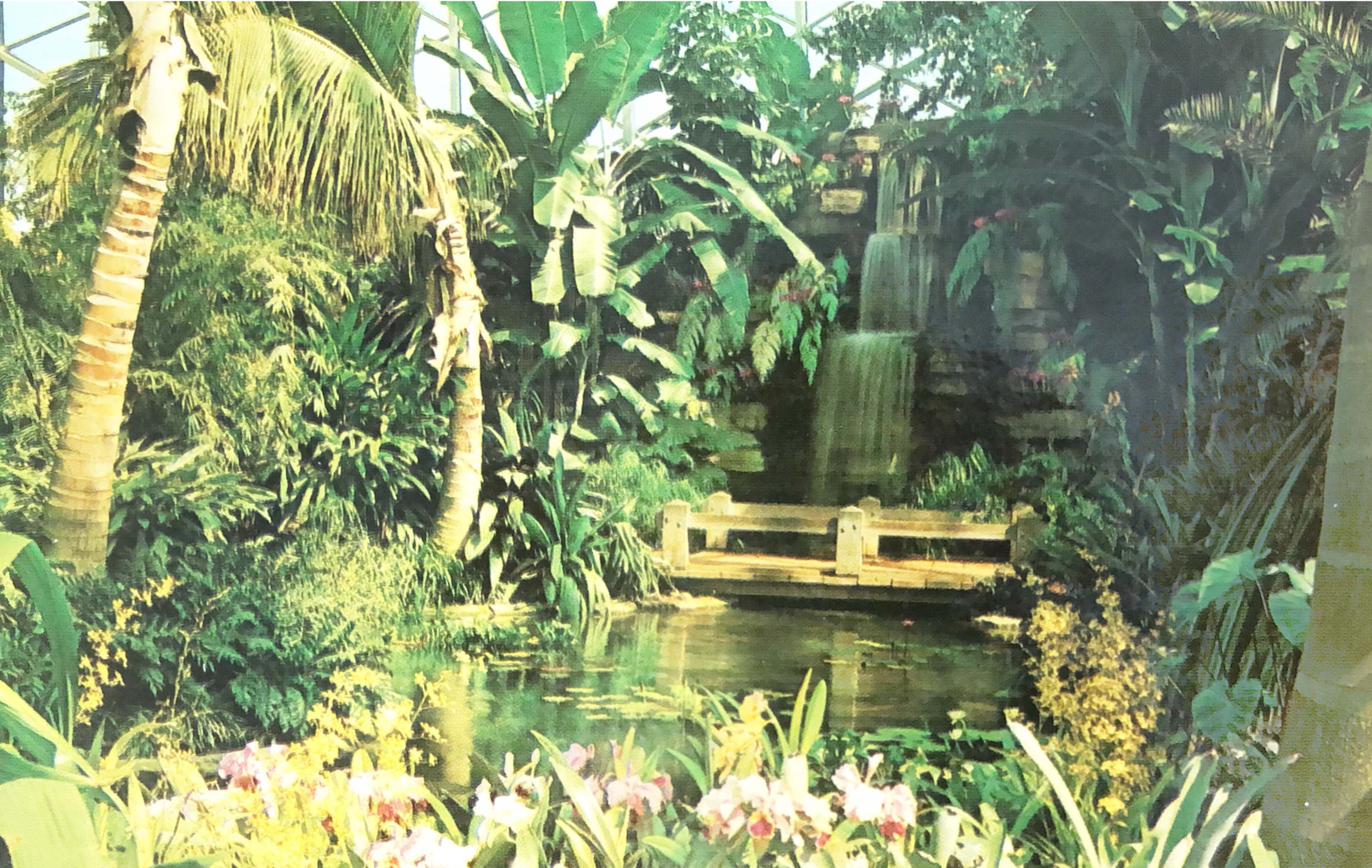 a wooden bridge crosses a pond next to a waterfall inside the tropical dome