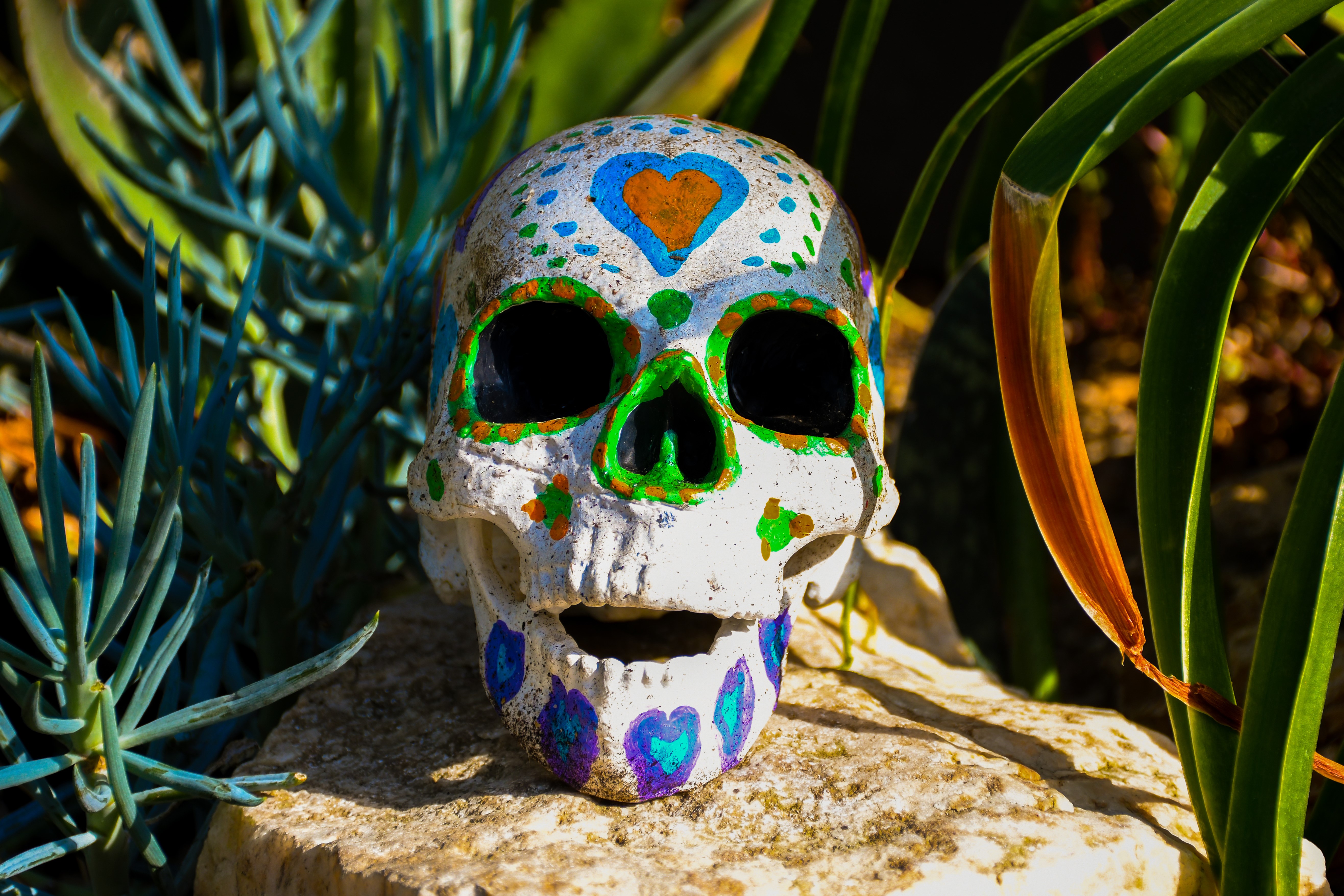 a brightly decorated skull, part of an ofrenda display at the Day of the Dead event