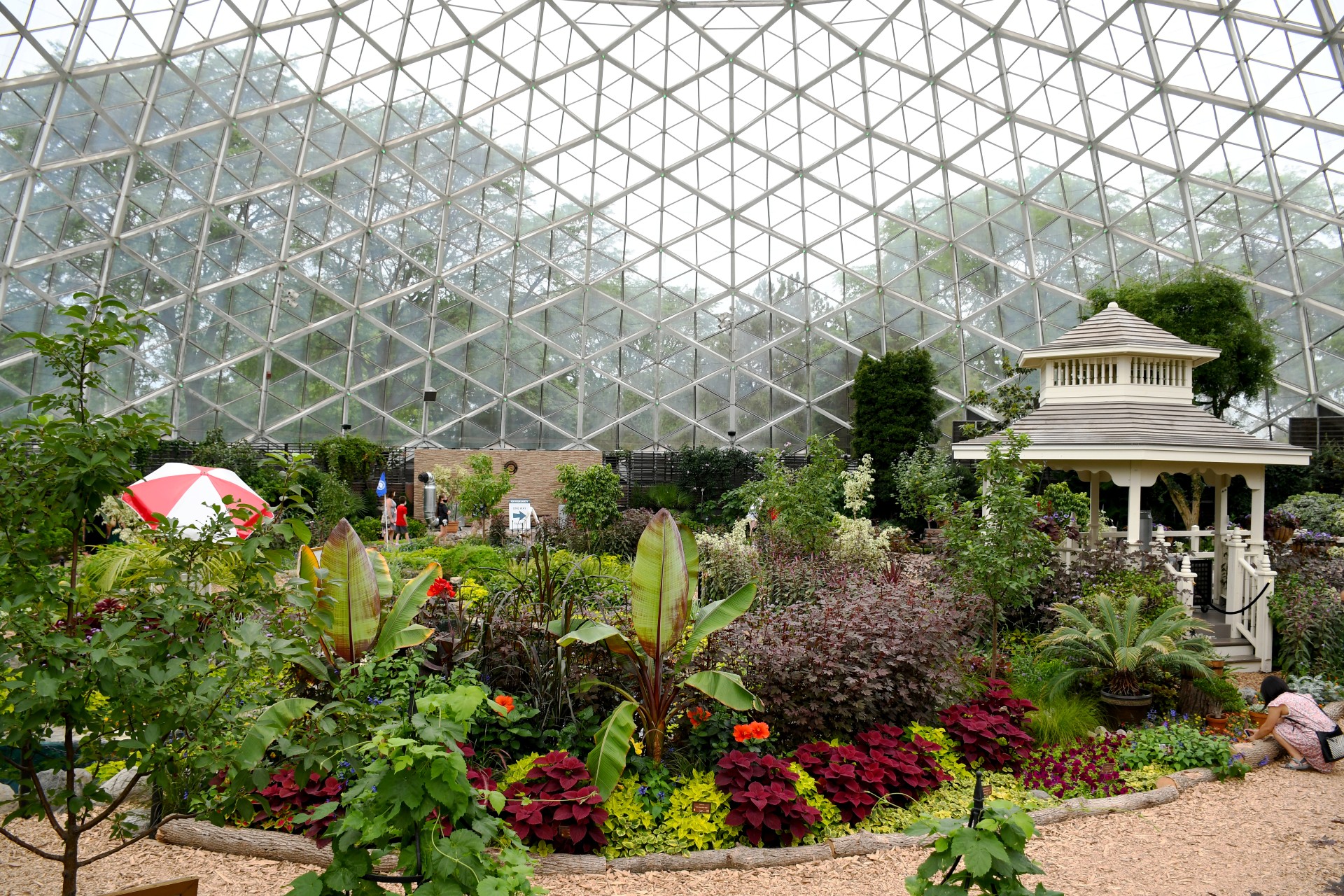 a summer show inside the floral dome