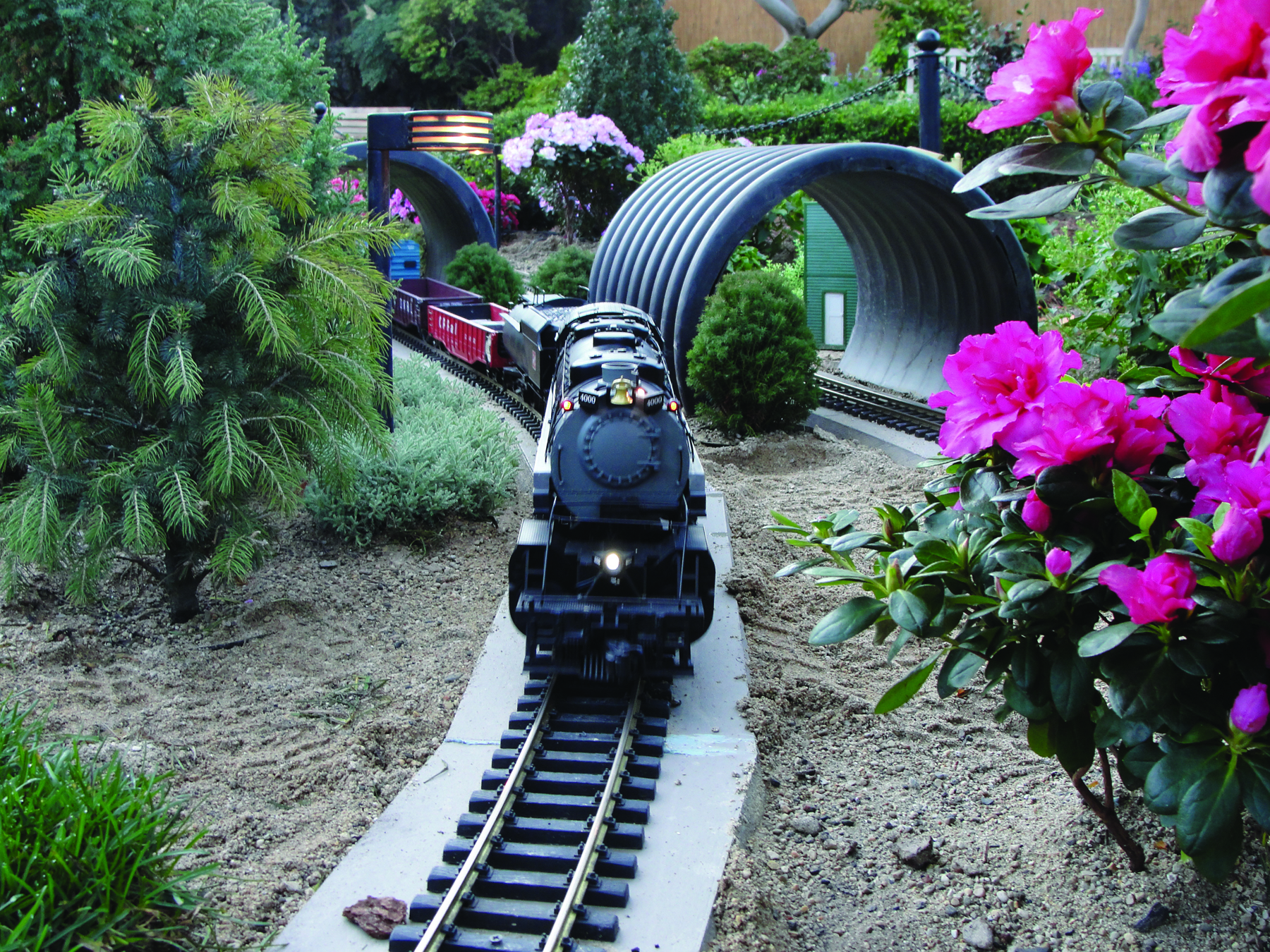 a black model steam train on tracks inside the floral dome