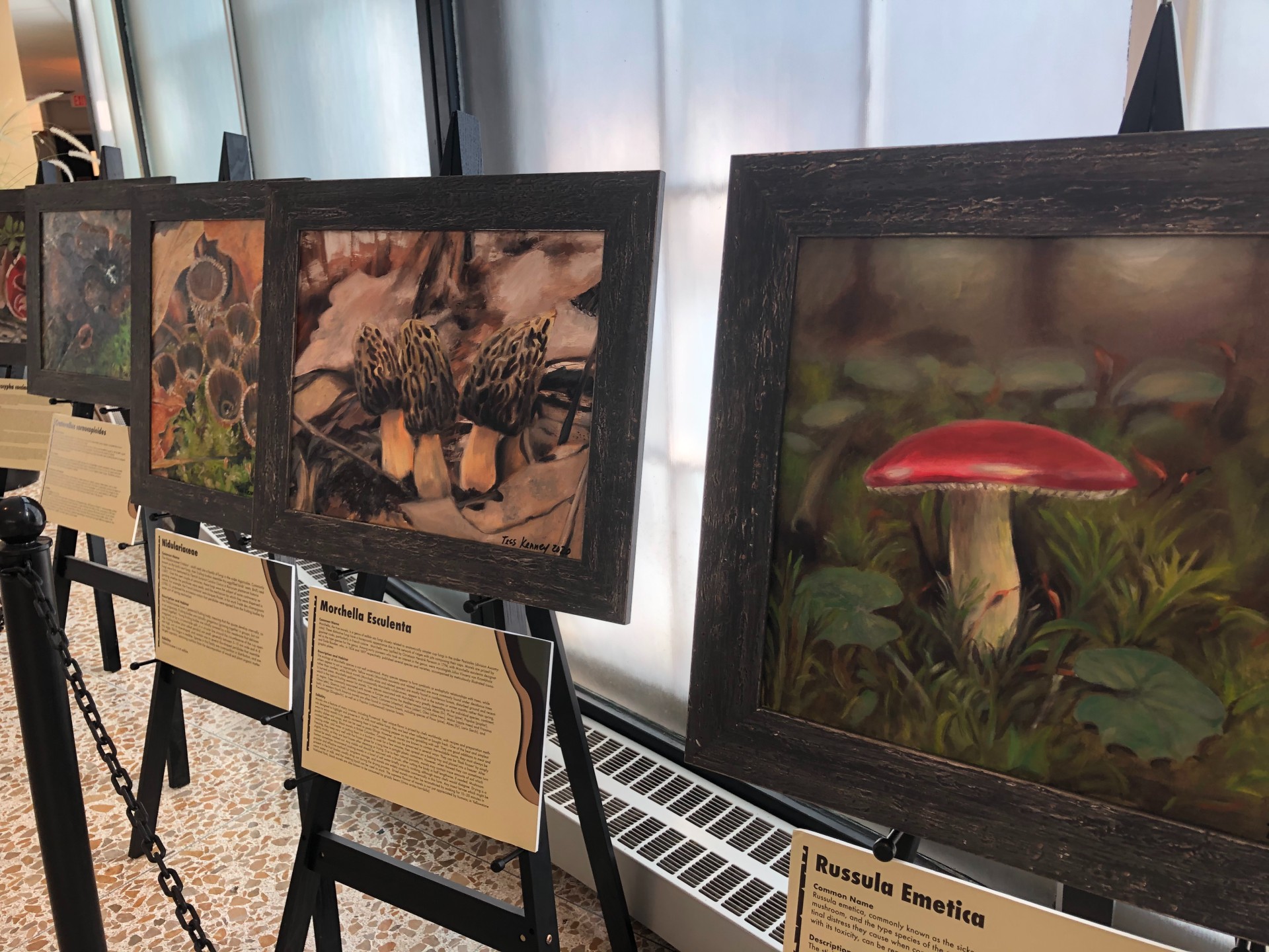pop-up mushroom art gallery