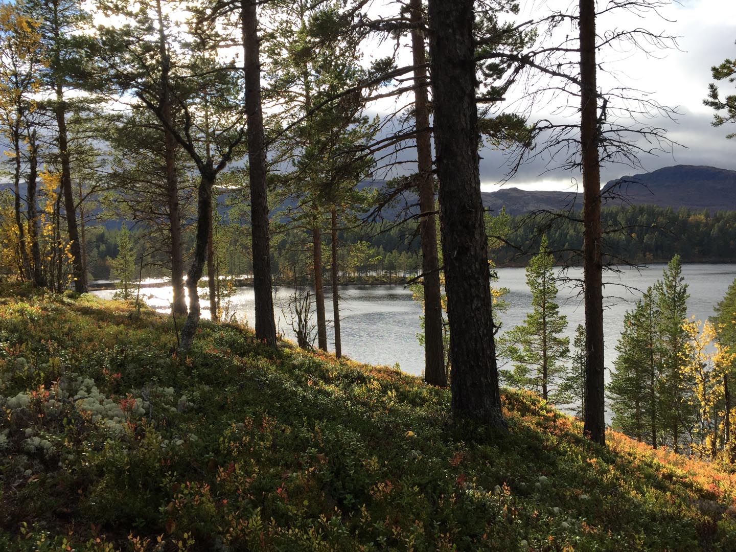 Solskinnsmarka Tunhovdfjorden