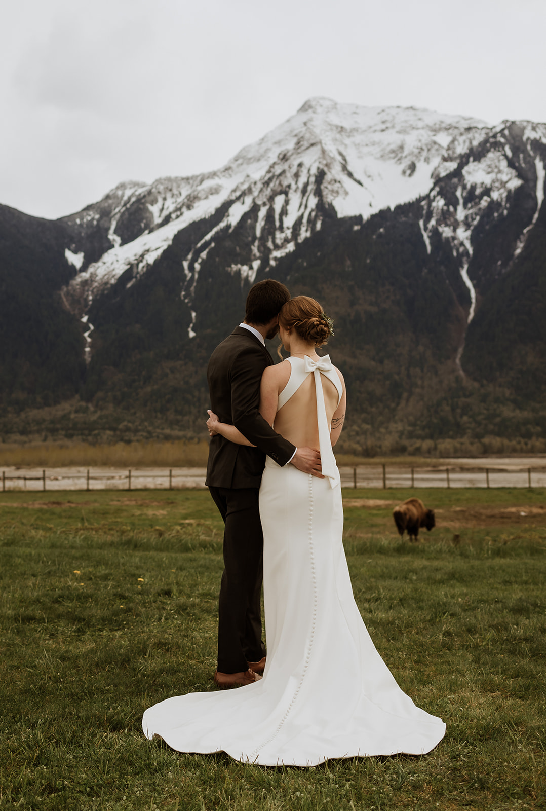 A bride and groom standing, holding each other as they look out to the large mountain behind. In the distance, to the right is a wild bison roaming the field.