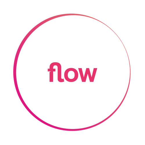 Flow Networks | Own the Payment Moment