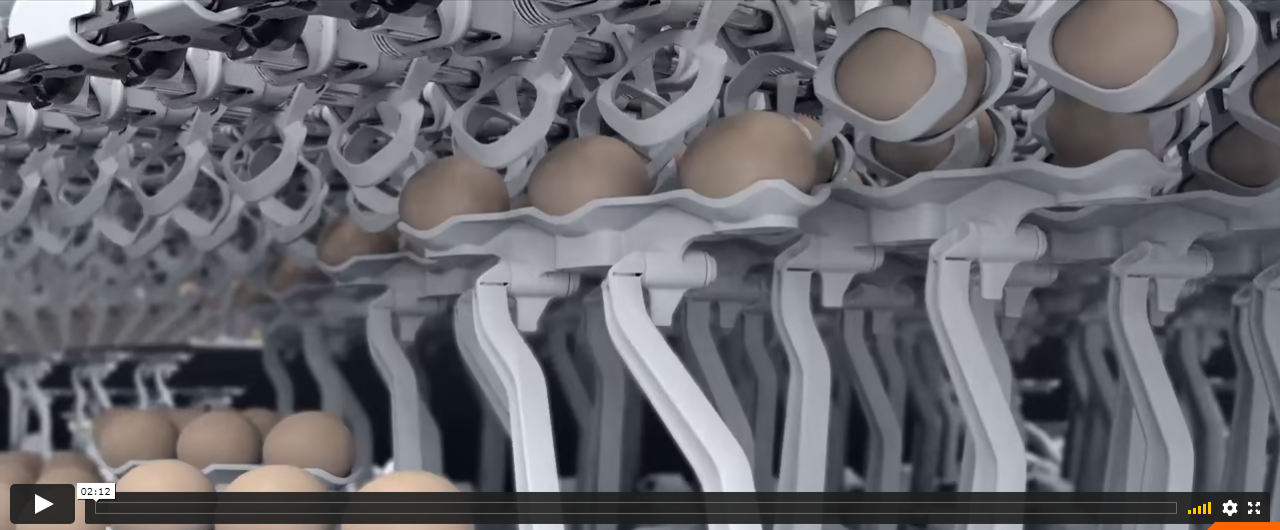 Technical Animation case | Videos element