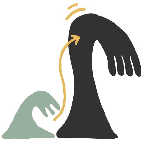 Programs for every skill level