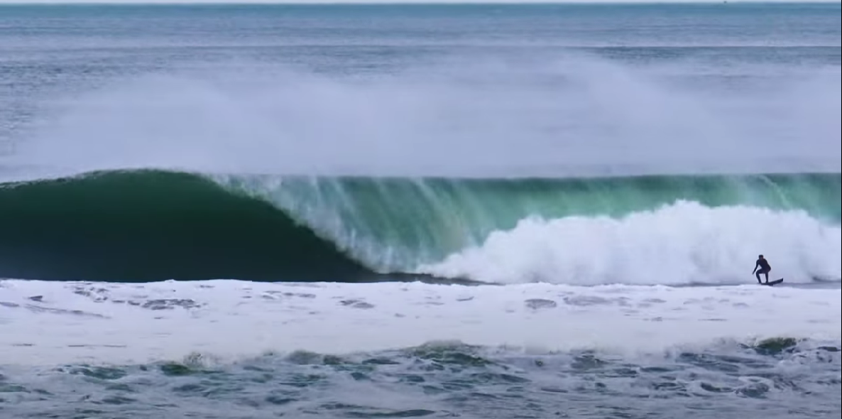 the bowl