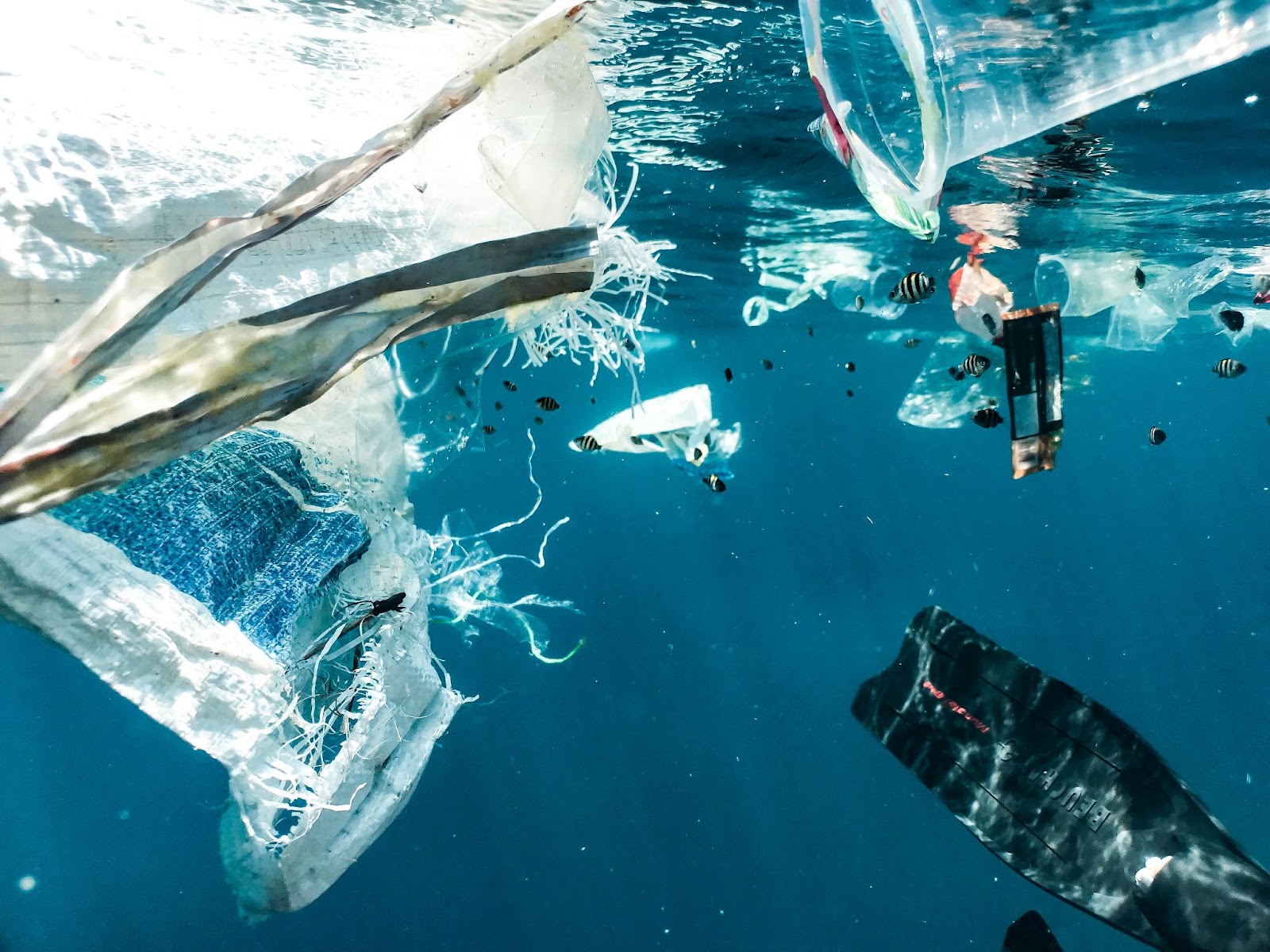 ocean with trash