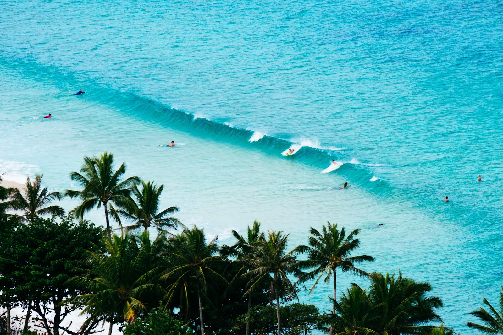 busy waveline