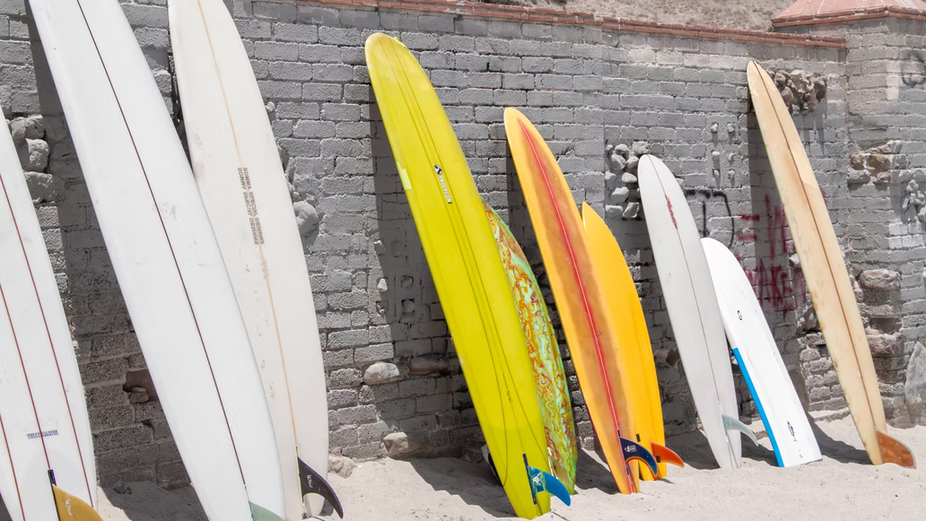 surfboards in varying shapes and colors leaning on a wall