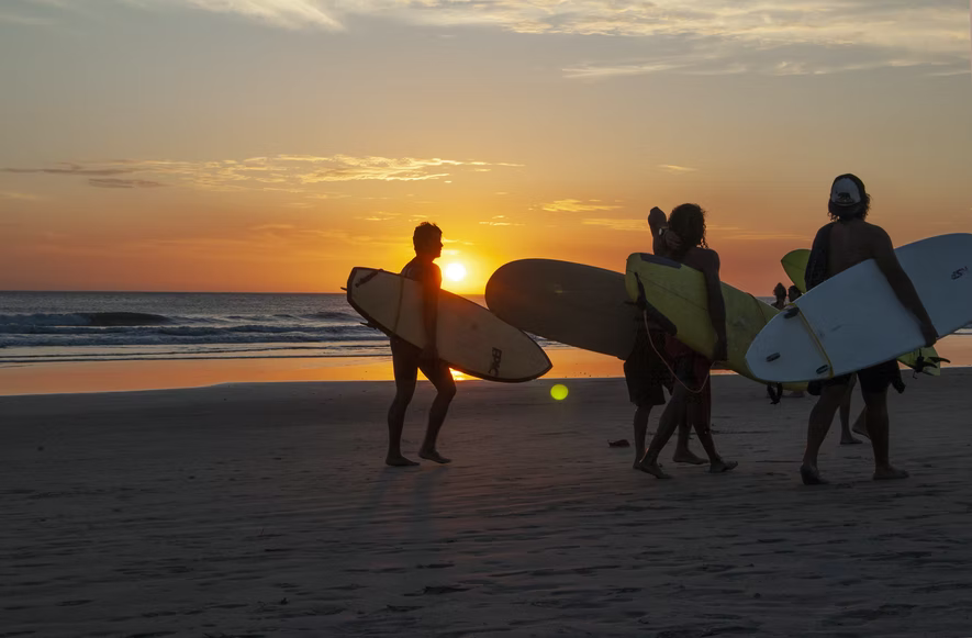a crowd of surfers walking on the beach during sunset
